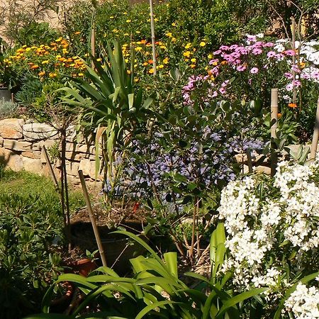 L' Escale Tranquille Bed & Breakfast Sete Luaran gambar