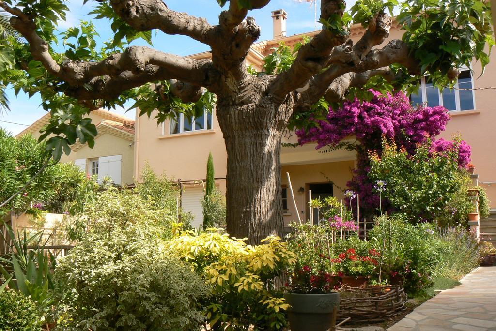 L' Escale Tranquille Bed & Breakfast Sete Luaran gambar