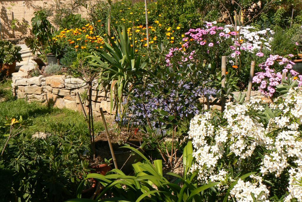 L' Escale Tranquille Bed & Breakfast Sete Luaran gambar